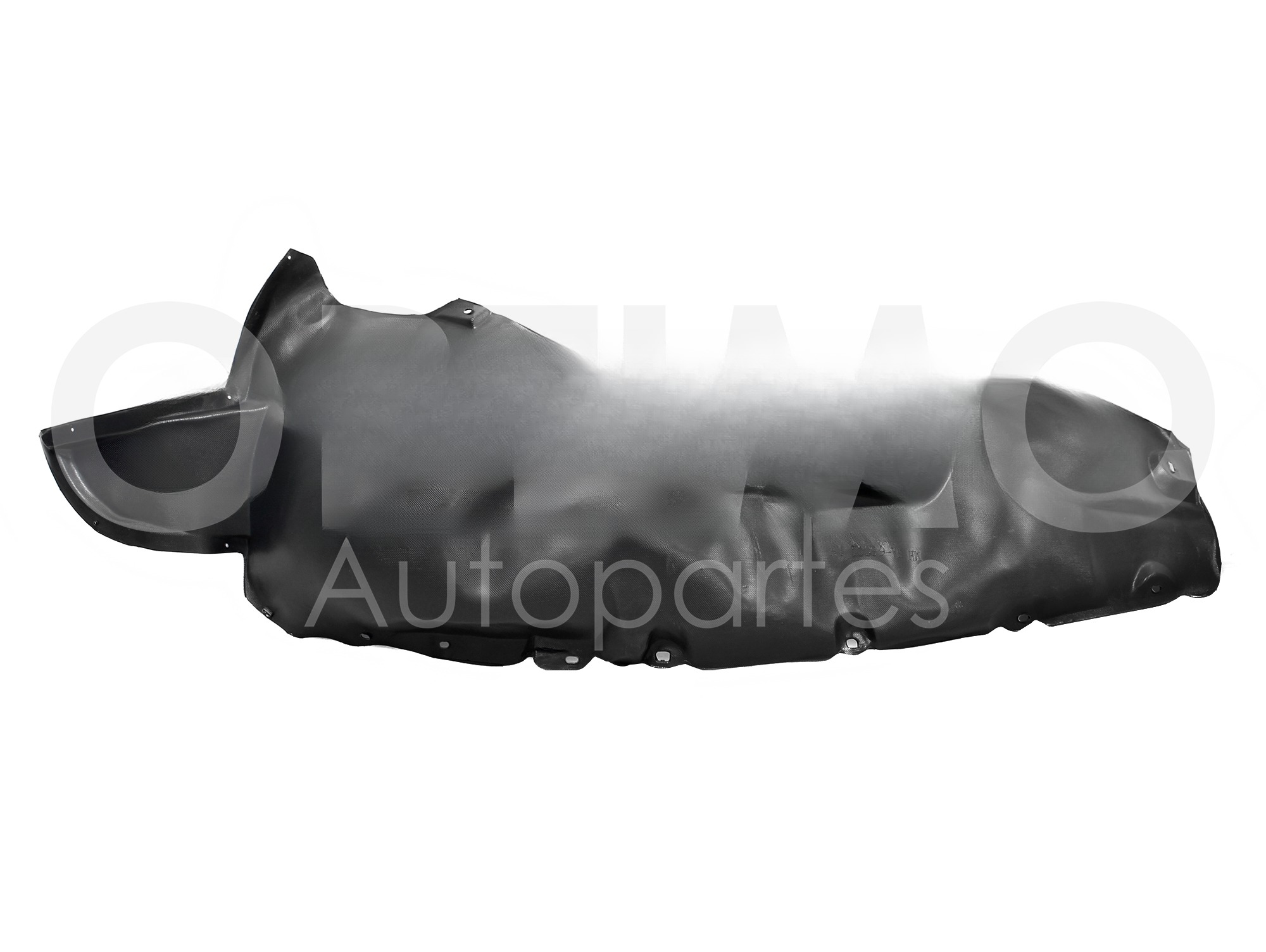 TOLVA INT IZQ DE SALP DEL (CORDOBA 03-09)