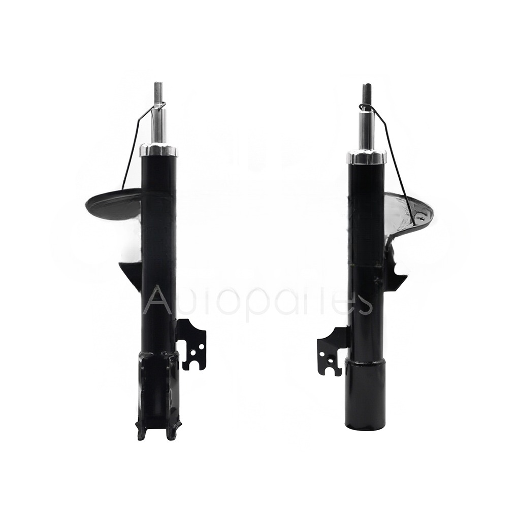 AMORTIGUADOR DEL DER GAS