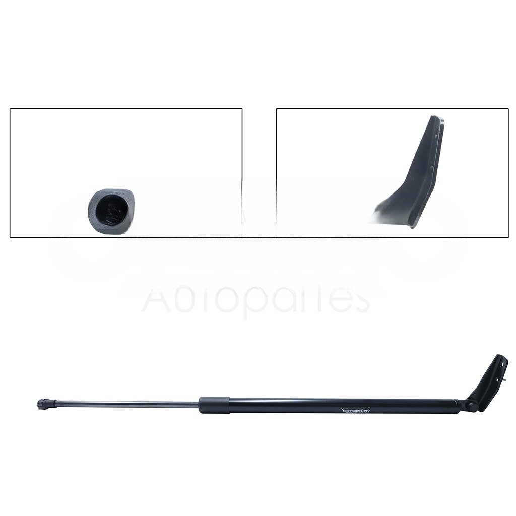 AMORTIGUADOR CAJUELA IZQ C/BASE (L=63/CIL=42 CM)